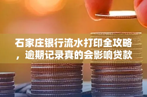 石家庄银行流水打印全攻略,逾期记录真的会影响贷款吗?
