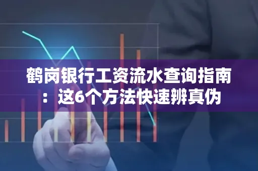 鹤岗银行工资流水查询指南:这6个方法快速辨真伪
