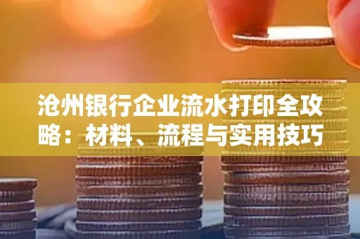 沧州银行企业流水打印全攻略:材料、流程与实用技巧