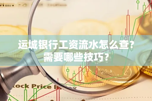 运城银行工资流水怎么查?需要哪些技巧?