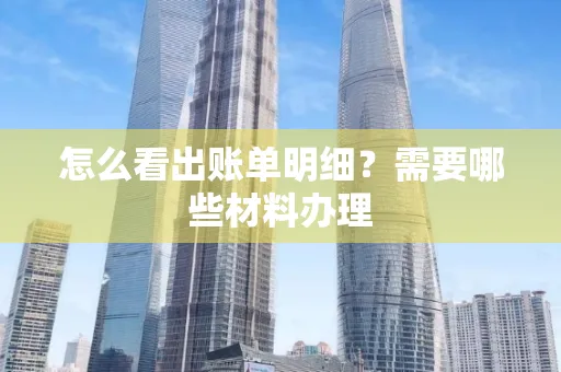 怎么看出账单明细?需要哪些材料办理