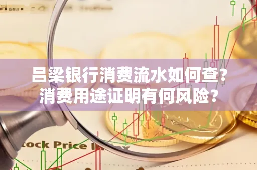 吕梁银行消费流水如何查?消费用途证明有何风险?