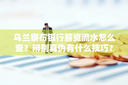 乌兰察布银行薪资流水怎么查?辨别真伪有什么技巧?