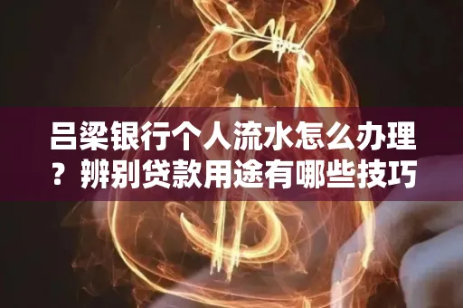 吕梁银行个人流水怎么办理?辨别贷款用途有哪些技巧?
