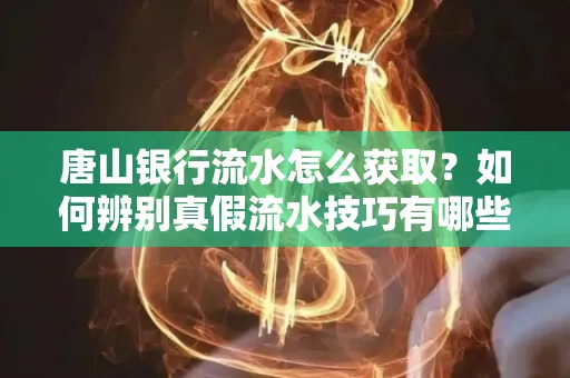 唐山银行流水怎么获取?如何辨别真假流水技巧有哪些?
