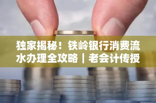 独家揭秘!铁岭银行消费流水办理全攻略|老会计传授防诈技巧