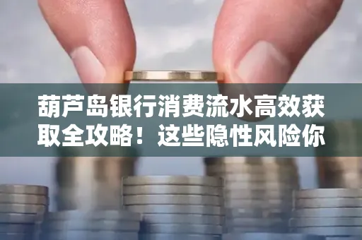 葫芦岛银行消费流水高效获取全攻略!这些隐性风险你必须知道