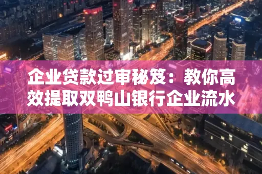 企业贷款过审秘笈:教你高效提取双鸭山银行企业流水