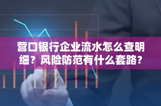 营口银行企业流水怎么查明细？风险防范有什么套路？