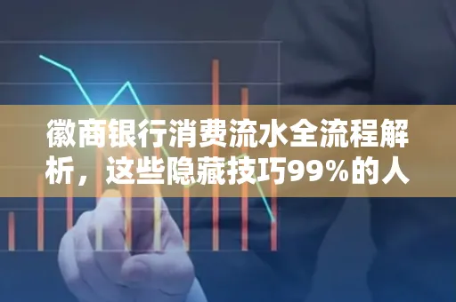 徽商银行消费流水全流程解析,这些隐藏技巧99%的人不知道