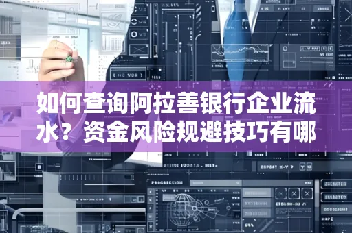 如何查询阿拉善银行企业流水?资金风险规避技巧有哪些?