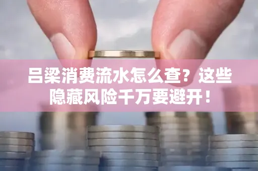 吕梁消费流水怎么查?这些隐藏风险千万要避开!