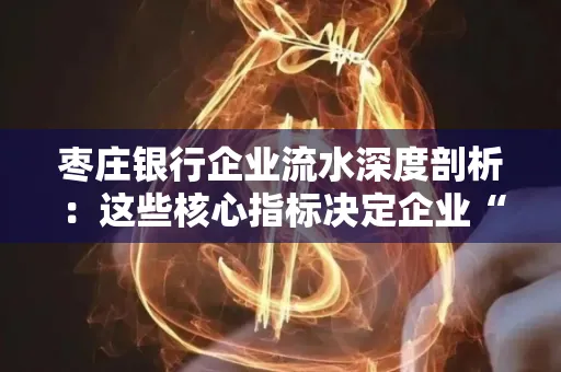 枣庄银行企业流水深度剖析:这些核心指标决定企业“钱袋子”健康度