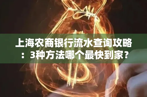 上海农商银行流水查询攻略:3种方法哪个最快到家?
