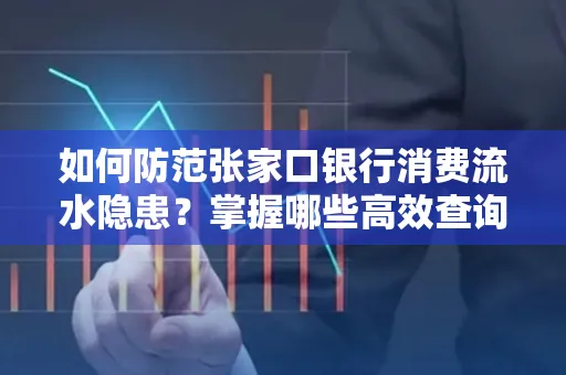 如何防范张家口银行消费流水隐患?掌握哪些高效查询技巧?