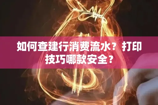 如何查建行消费流水?打印技巧哪款安全?